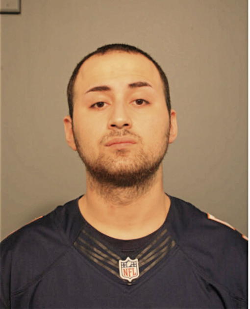 DAVID E NUNEZ, Cook County, Illinois