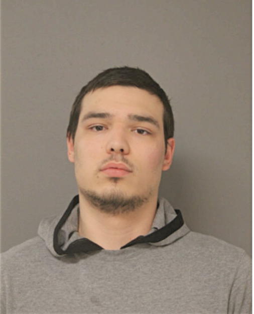 ALEX JOSEPH PAUL SCHMITZ, Cook County, Illinois