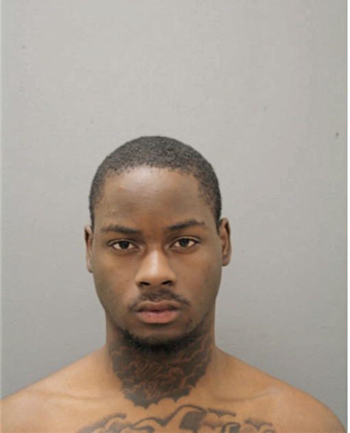 TERRELL S POWELL, Cook County, Illinois