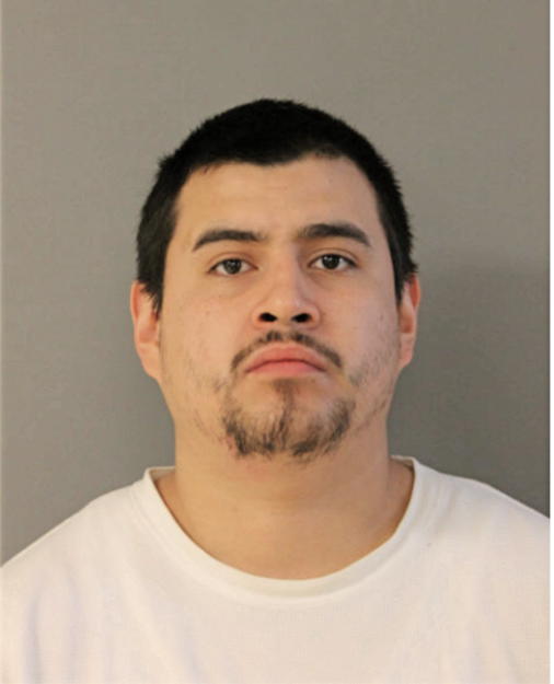 LUCAS ROCHEL, Cook County, Illinois