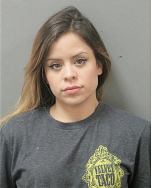 LIZETTE M ROSE, Cook County, Illinois