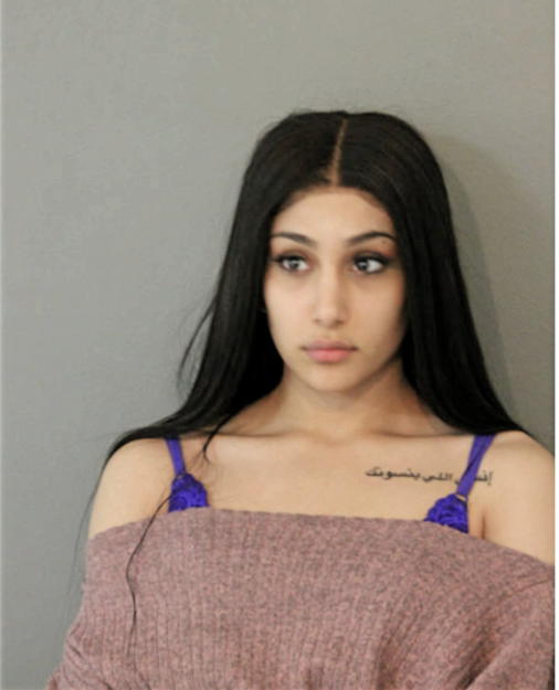 PANIZ RYASATI, Cook County, Illinois