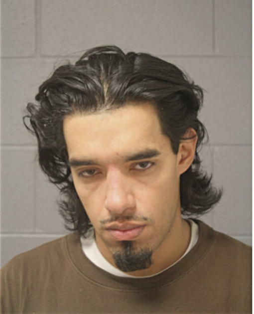 JUAN I SALINAS, Cook County, Illinois