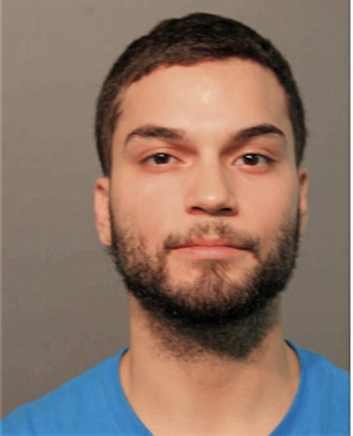 AXEL SIERRA, Cook County, Illinois