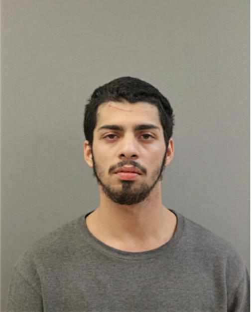 GUILLERMO M VIRAMONTES, Cook County, Illinois