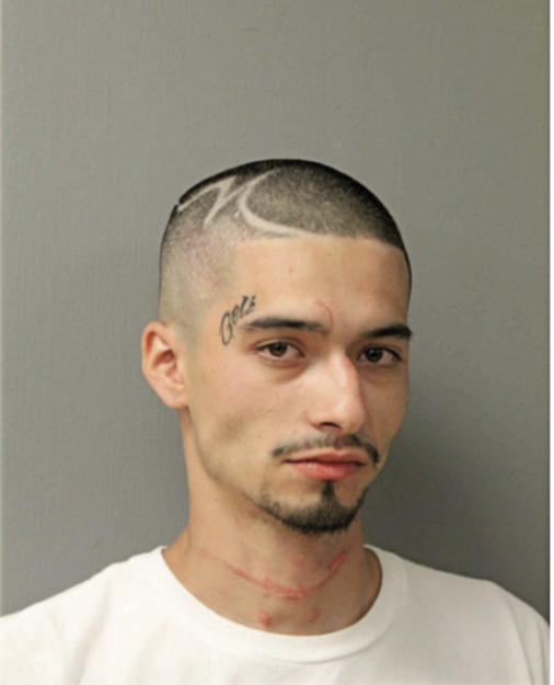 MARCOS ALARCON, Cook County, Illinois