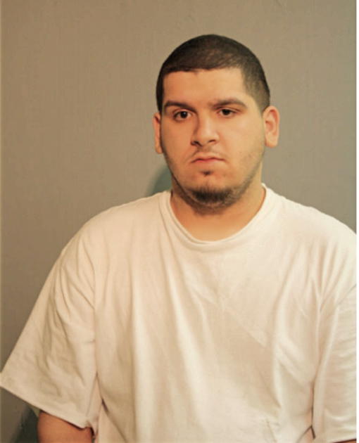 DAVID N ANDUJAR, Cook County, Illinois