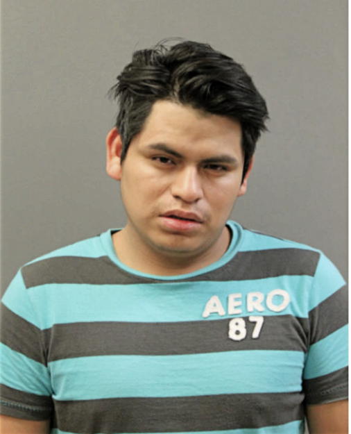 ANDRES AVELINO-MUNGUIA, Cook County, Illinois