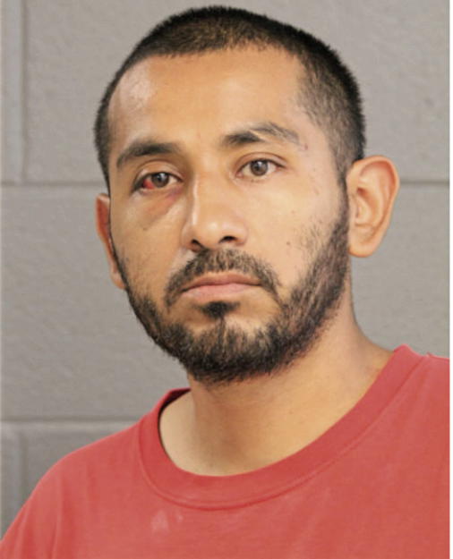 JOSE BAHENA, Cook County, Illinois