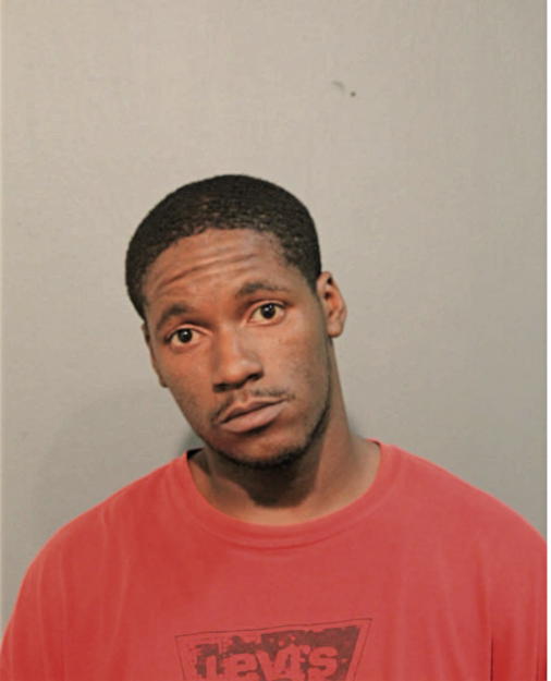 DION M BAILEY, Cook County, Illinois