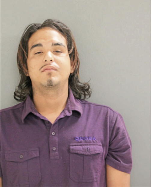 JOSEPH C BELLA, Cook County, Illinois