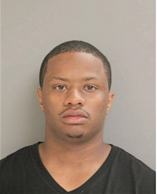 ANDREW J BINION, Cook County, Illinois