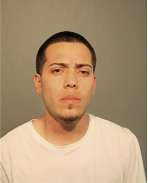 BRANDON BOLANOS, Cook County, Illinois