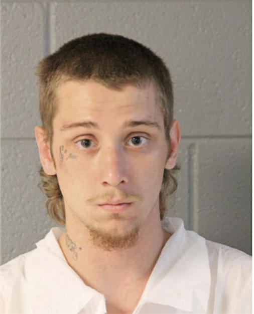 RYAN N BOWEN, Cook County, Illinois