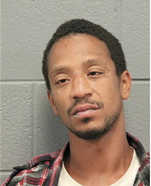 LEWIS E BRADSHAW, Cook County, Illinois