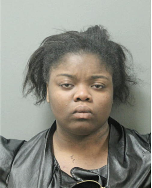 KISSISMMEE C JOHNSON, Cook County, Illinois