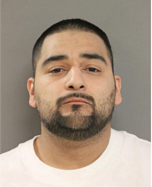 JOHNNY V CASTILLO, Cook County, Illinois