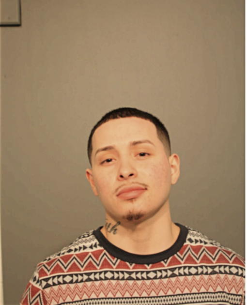 DAVID CEDENO, Cook County, Illinois