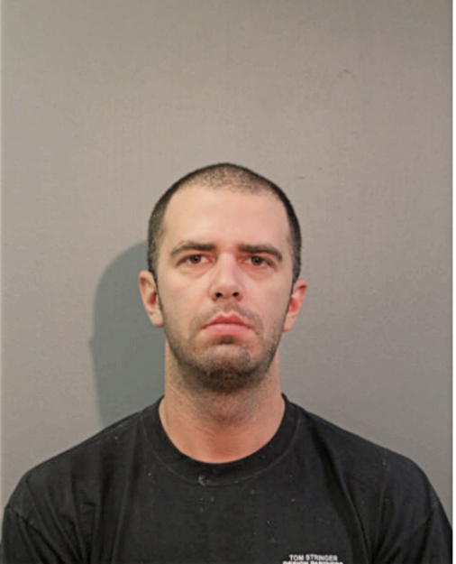 SEAN W COLLINS, Cook County, Illinois
