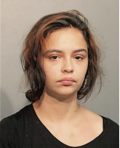 RENE D DOMINGUEZ, Cook County, Illinois