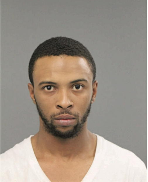 LEVELLE D ERVING, Cook County, Illinois