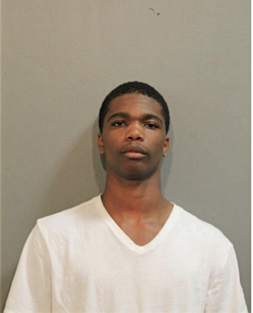 ADOLPHUS T FORD, Cook County, Illinois
