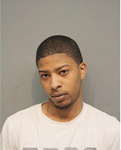 ANTHONY L LEWIS, Cook County, Illinois