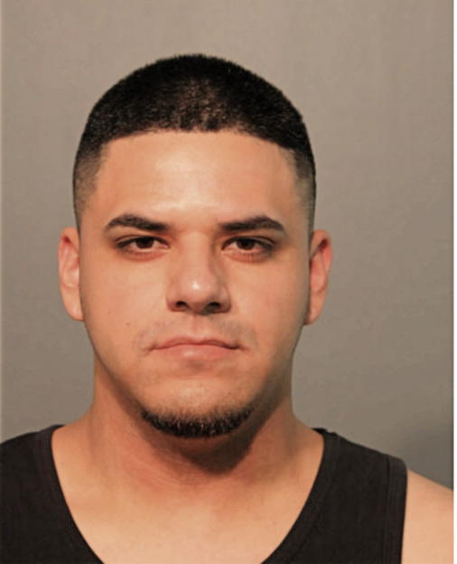 LUIS G MEDINA-REYES, Cook County, Illinois