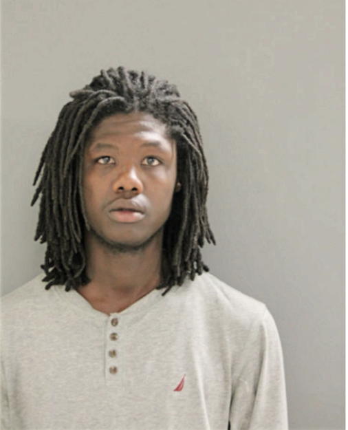 DEREK J NORMAN, Cook County, Illinois