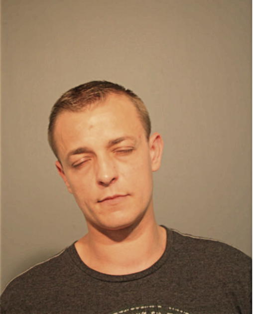 VLADYSLAV OPANASENKO, Cook County, Illinois