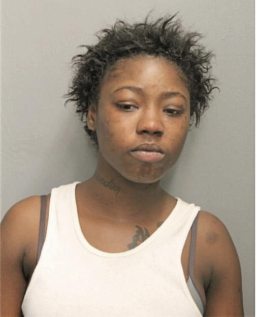 LASHANNA N PATTON, Cook County, Illinois