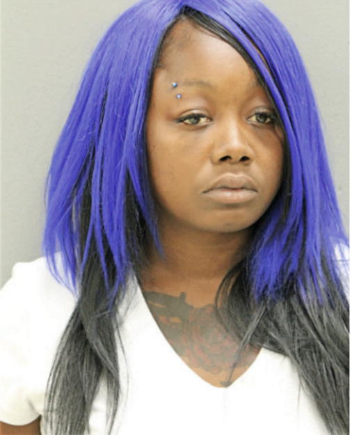 ASHLEY K PRICE, Cook County, Illinois