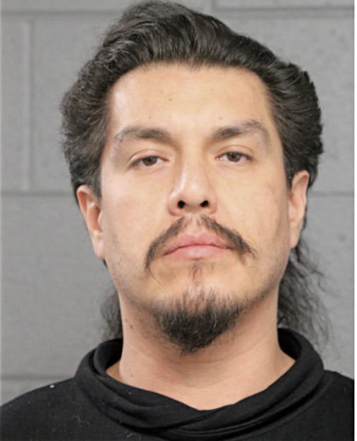 ALDO M REYES, Cook County, Illinois