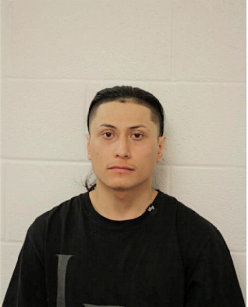 OSCAR ROMAN, Cook County, Illinois