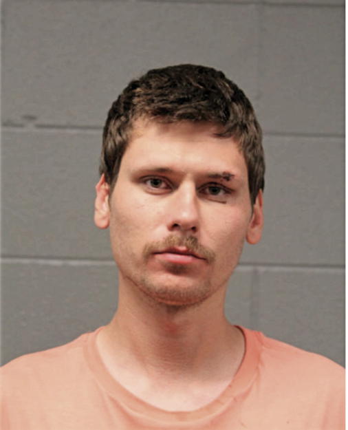 MICHAEL L SAJDAK, Cook County, Illinois