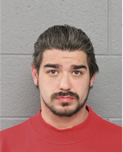 AUSTIN C SANCHEZ, Cook County, Illinois