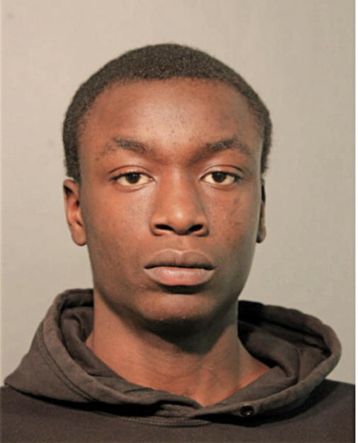 ERICK L SIMS, Cook County, Illinois
