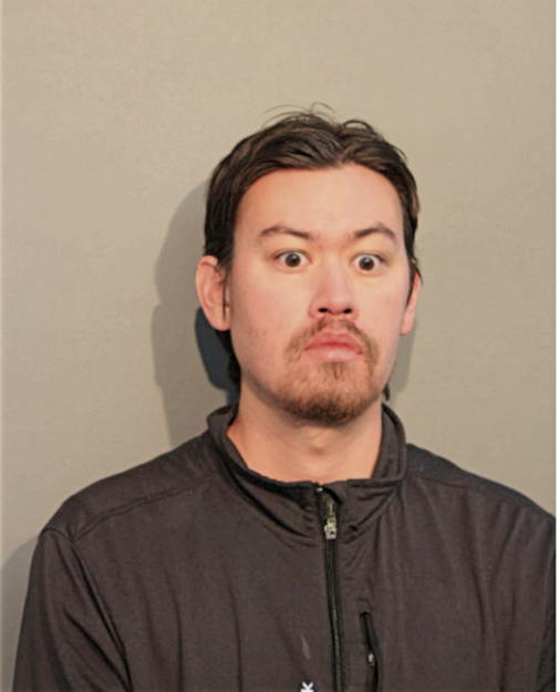 SEAN G THOMPSON, Cook County, Illinois