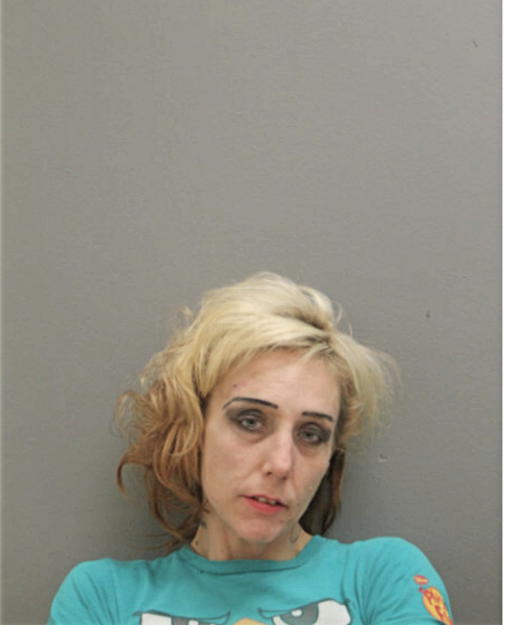 BRIANNA R VANDERWATER, Cook County, Illinois