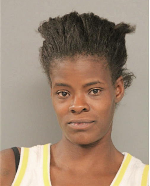 SALLY M YOUNG, Cook County, Illinois