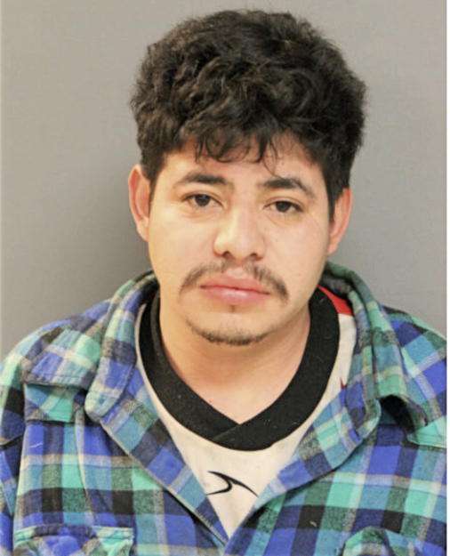 IRINEO ALBARRAN, Cook County, Illinois