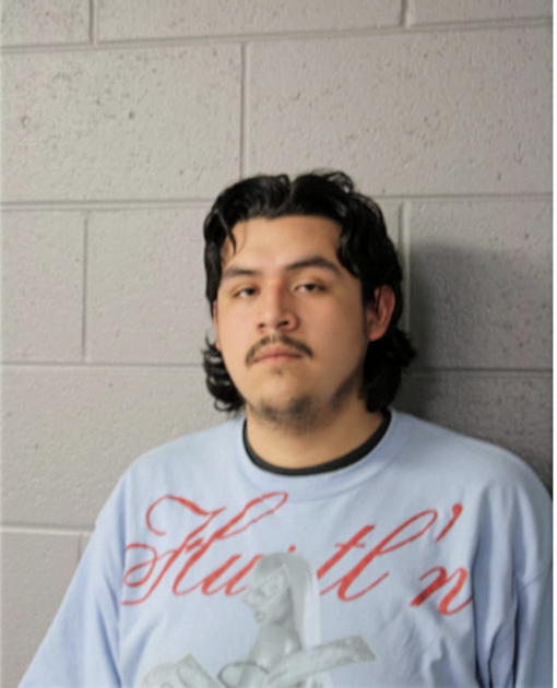 GUADALUPE D ARANDA, Cook County, Illinois