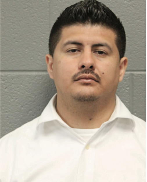 JOSE CARLOS ARMENDARIZ-NAVARRETE, Cook County, Illinois