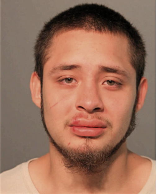 JOSE R ARRIAGA, Cook County, Illinois