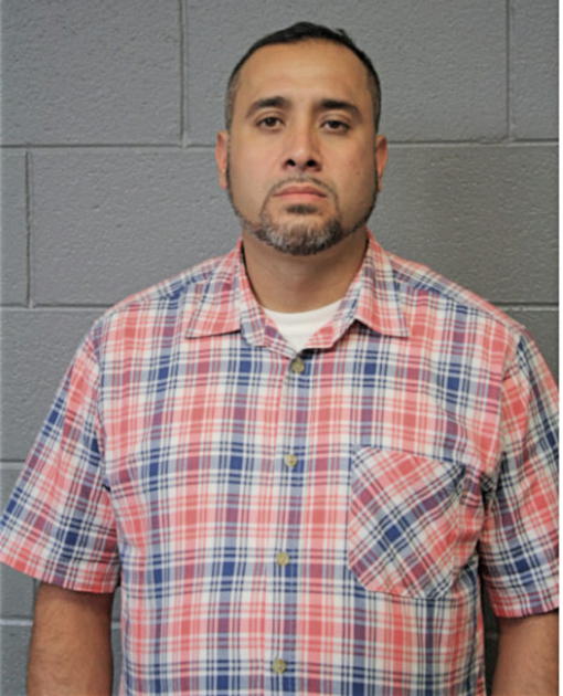 DAVID BAHENA, Cook County, Illinois