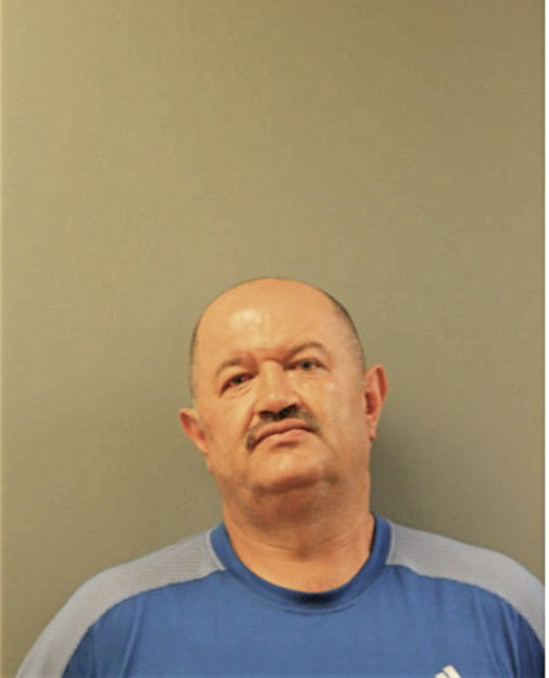 VICTOR B BENITEZ, Cook County, Illinois