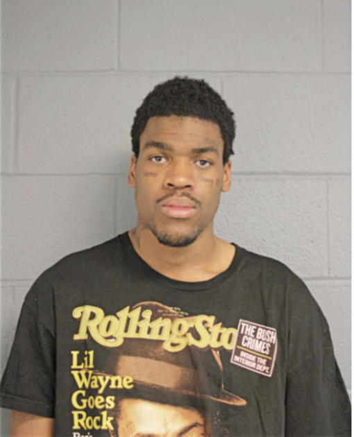 NICHOLAS BROWN, Cook County, Illinois