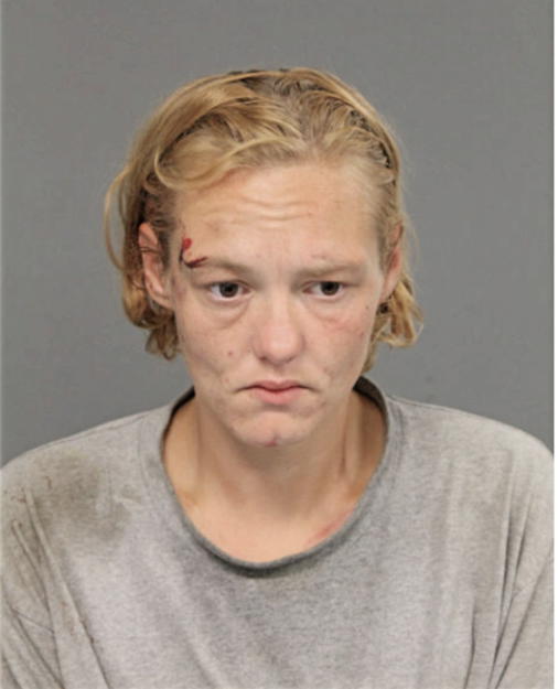 HOLLY G BUTLER, Cook County, Illinois