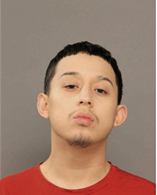 RICARDO J CARDENAS, Cook County, Illinois
