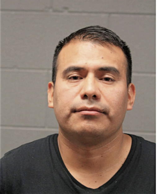 MARCELO CHILCHOA-OCOTOXTLE, Cook County, Illinois